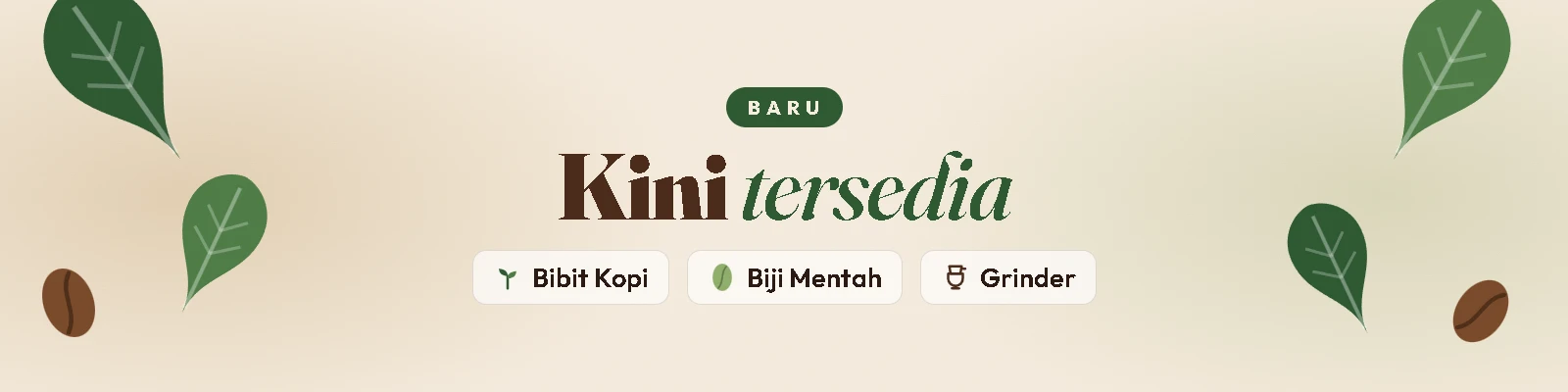 Kini tersedia: bibit kopi, biji mentah, dan grinder
